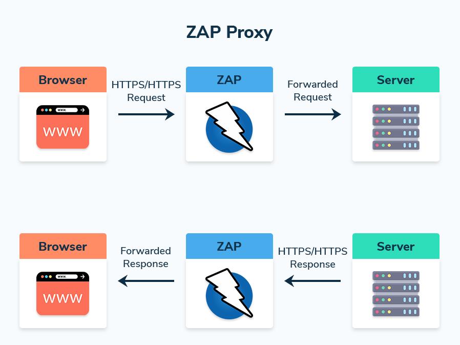 zap proxy